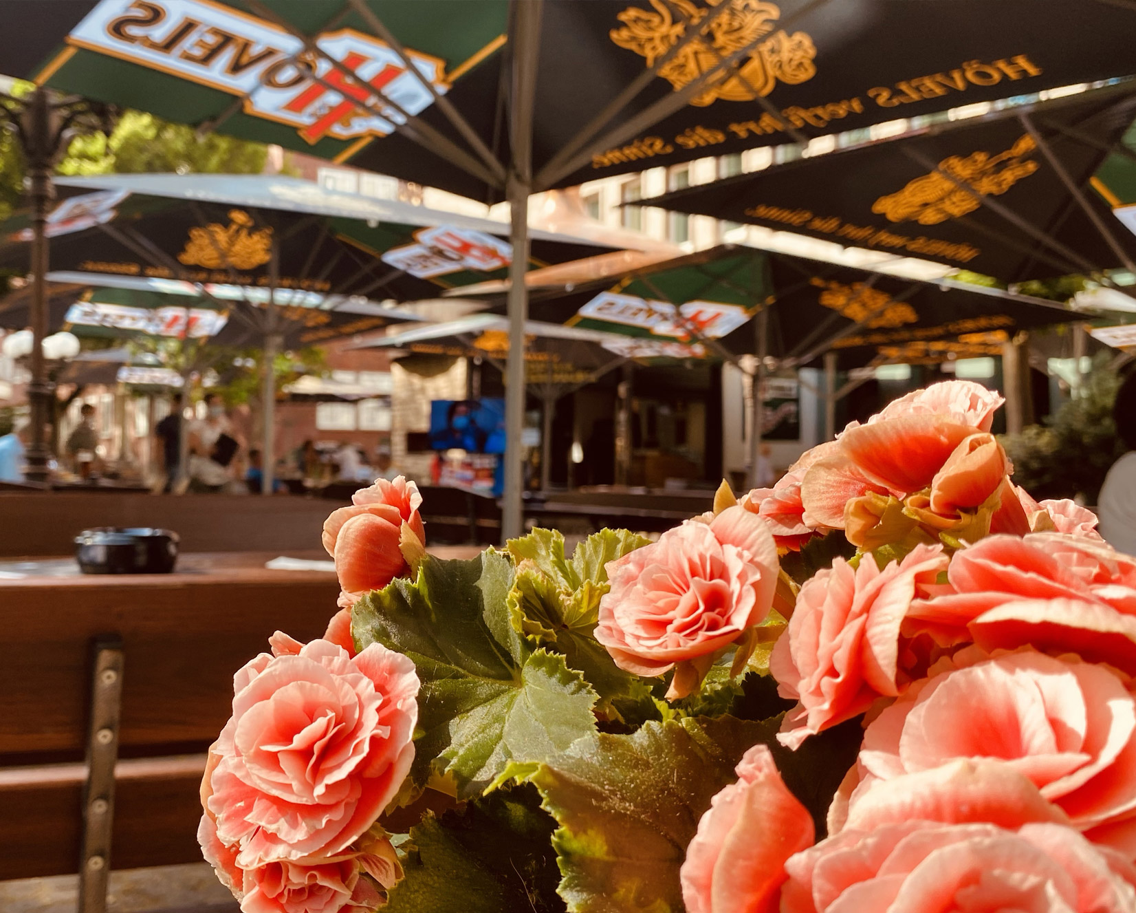 grüner Biergarten Dortmunder Innenstadt - Hövels Hausbrauerei